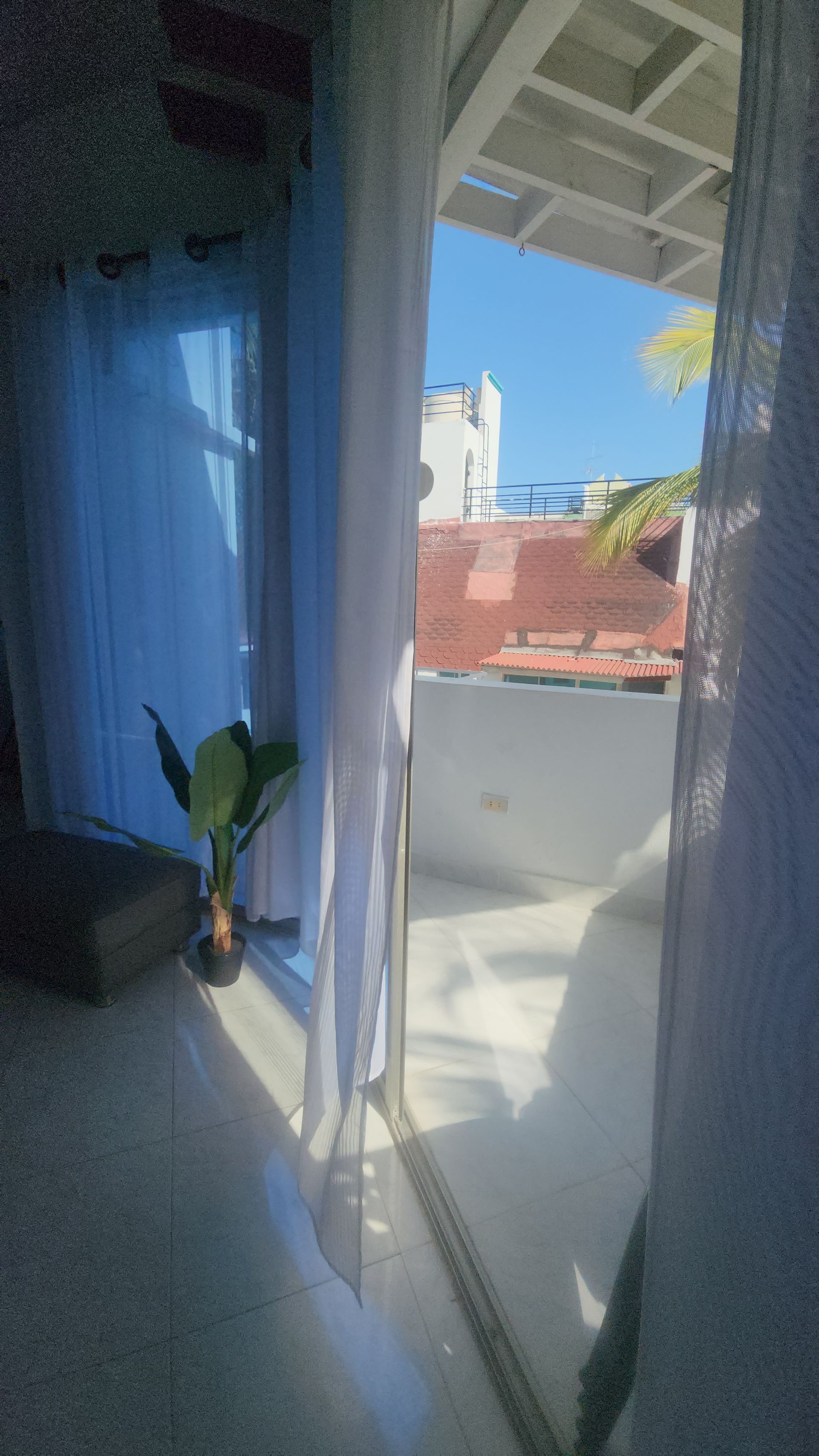 Vista desde el interior a través de una puerta de cristal hacia un balcón soleado con una planta en maceta, bajo un cielo azul.