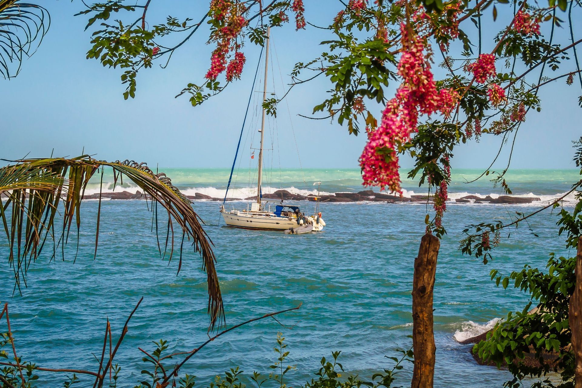 Un velero anclado en aguas tropicales de color turquesa, enmarcado por flores rosas colgantes y hojas de palmera verdes.