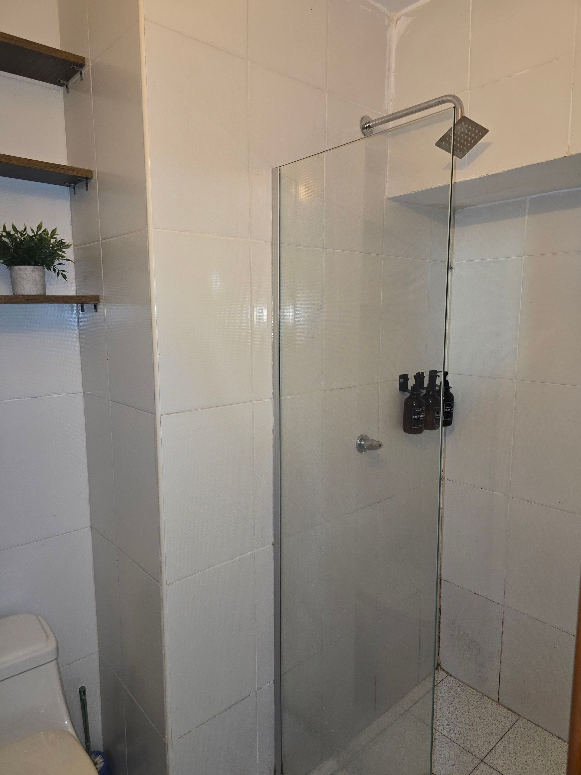 Un baño con paredes alicatadas en blanco, una ducha con mampara de cristal, un inodoro y estantes de madera montados en la pared con una planta en maceta.