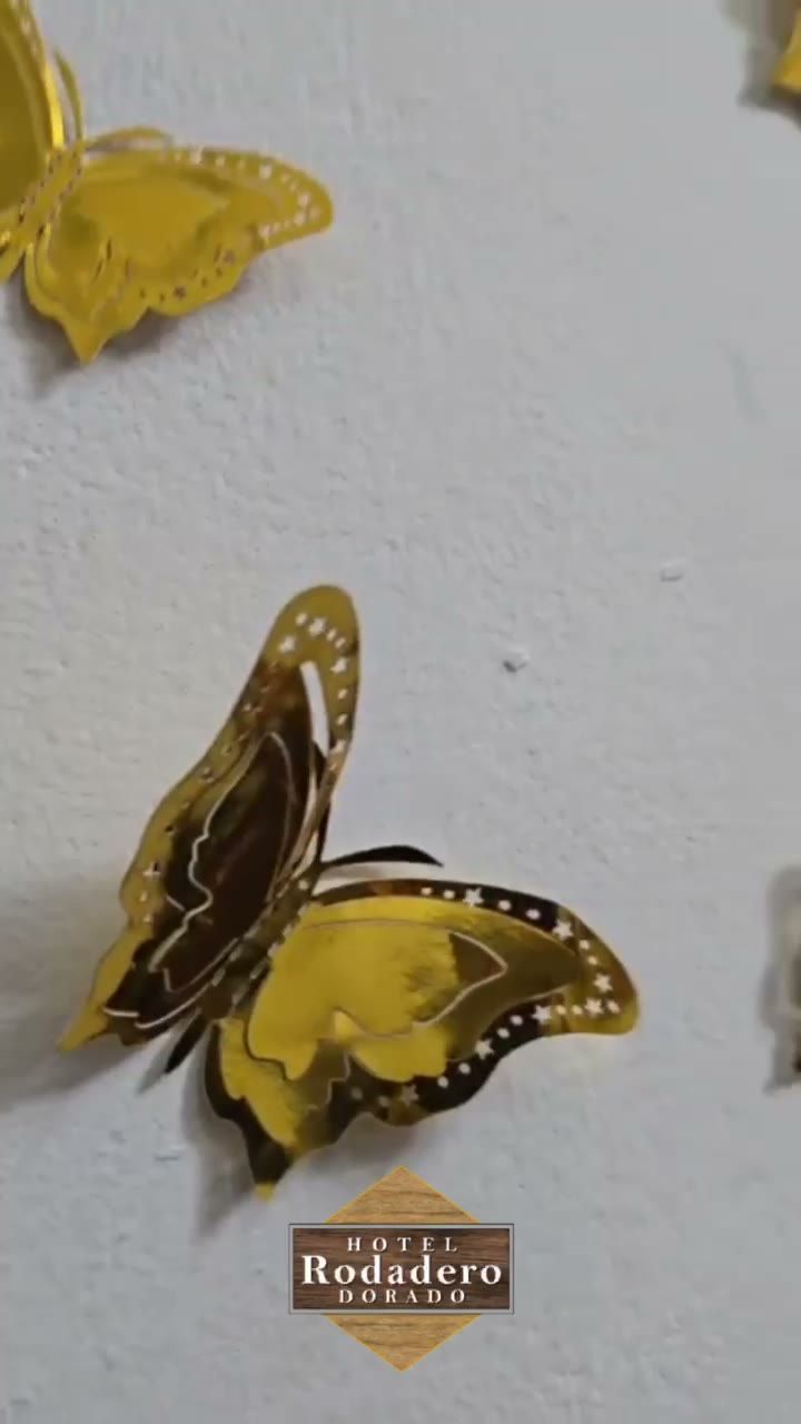 Mariposas amarillas y marrones sobre una pared blanca, con un pequeño letrero de Rodadero debajo.