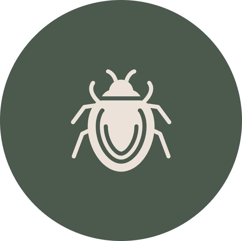 PhoenixArea Pest Control Services CAPE Pest Control