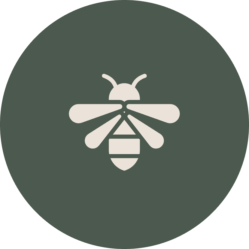 Wasp Pest Control in Arizona CAPE Pest Control