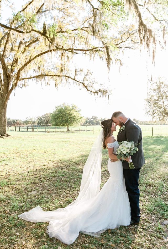 A bride and groom are kissing in a field under a tree.