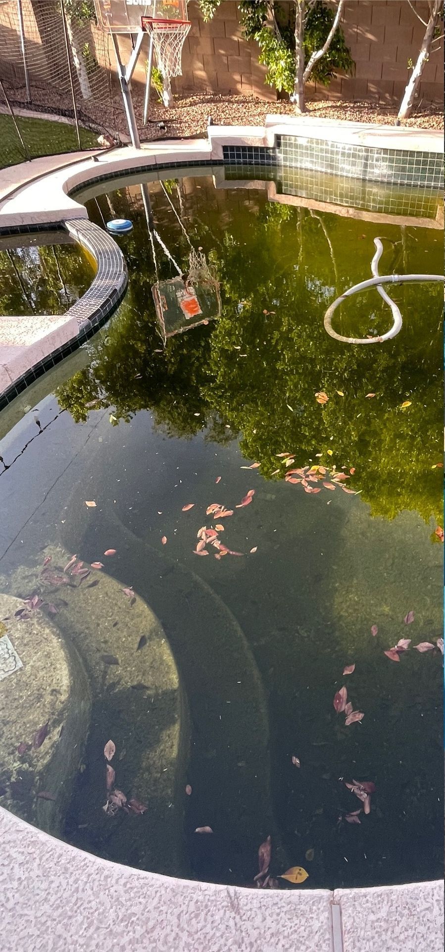 Swimming pool contractor, Pool Painting, Pool Deck Repair, Pool Deck Painting, Pool Tile Repair, Pool Remodeling, Pool Replastering, Pool Repair, Vinyl Pool Lining, Pool Motor Repairs, Pool Heater Replacements, Pool Pump Repair, Commercial Pool Painting, Commercial Pool Deck Repair, Commercial Pool Deck Painting, Commercial Pool Tile Repair, Commercial Pool Remodeling, Commercial Pool Motor Repairs, Commercial Pool Heater Replacements, Commercial Pool Pump Repair, Pool Painting Near Me, Pool Deck Repair Near Me, Pool Deck Painting Near Me, Pool Tile Repair Near Me, Pool Remodeling Near Me, Pool Replastering Near Me, Pool Repair Near Me, Pool Motor Repairs Near Me, Pool Heater Replacements Near Me, Pool Pump Repair Near Me, Pool Water Chemical Balance, Pool coatings/resurfacing, Pool Coating Near Me, Pool Coating Costs, Acid Washing, Deck Repair, Deck Repair Costs, Deck Coating, Deck Coating Near Me, Deck Coating Costs, Pool Grout Repair, Pool Grout Repair Near Me, Pool Grout Repair Costs, Pool Tile Repair Costs, Pool Drain Near Me, Pool Drain, Pool Fill, Plaster repair, Plaster Repair Costs, Pool Heater Servicing, Pool Heater Servicing Near Me, Pool Heater Servicing Cost, Pool Pump Servicing, Pool Pump Servicing Near Me, Pool Pump Servicing Cost, Pool Motor Servicing, Pool Motor Servicing Near Me, Pool Motor Servicing Cost, Pool Plumbing Repairs, Pool Plumbing Repairs Near Me, Pool Plumbing Repair Cost, Pool Filter Repairs, Pool Filter Repairs Near Me, Pool Filter Repairs Cost, Maricopa County AZ, Tempe AZ, South Tempe Tempe AZ, Phoenix AZ, Anthem Phoenix AZ, Deer Valley Phoenix AZ, Ahwatukee Foothills Village Phoenix AZ, Cave Creek AZ, Paradise Valley AZ, Fountain Hills AZ, Scottsdale AZ, South Scottsdale Scottsdale AZ, Mesa AZ, Dobson Ranch Mesa AZ, Chandler AZ, Ocotillo Chandler AZ, Glendale AZ, Arrowhead Ranch Glendale AZ, Peoria AZ, Surprise AZ