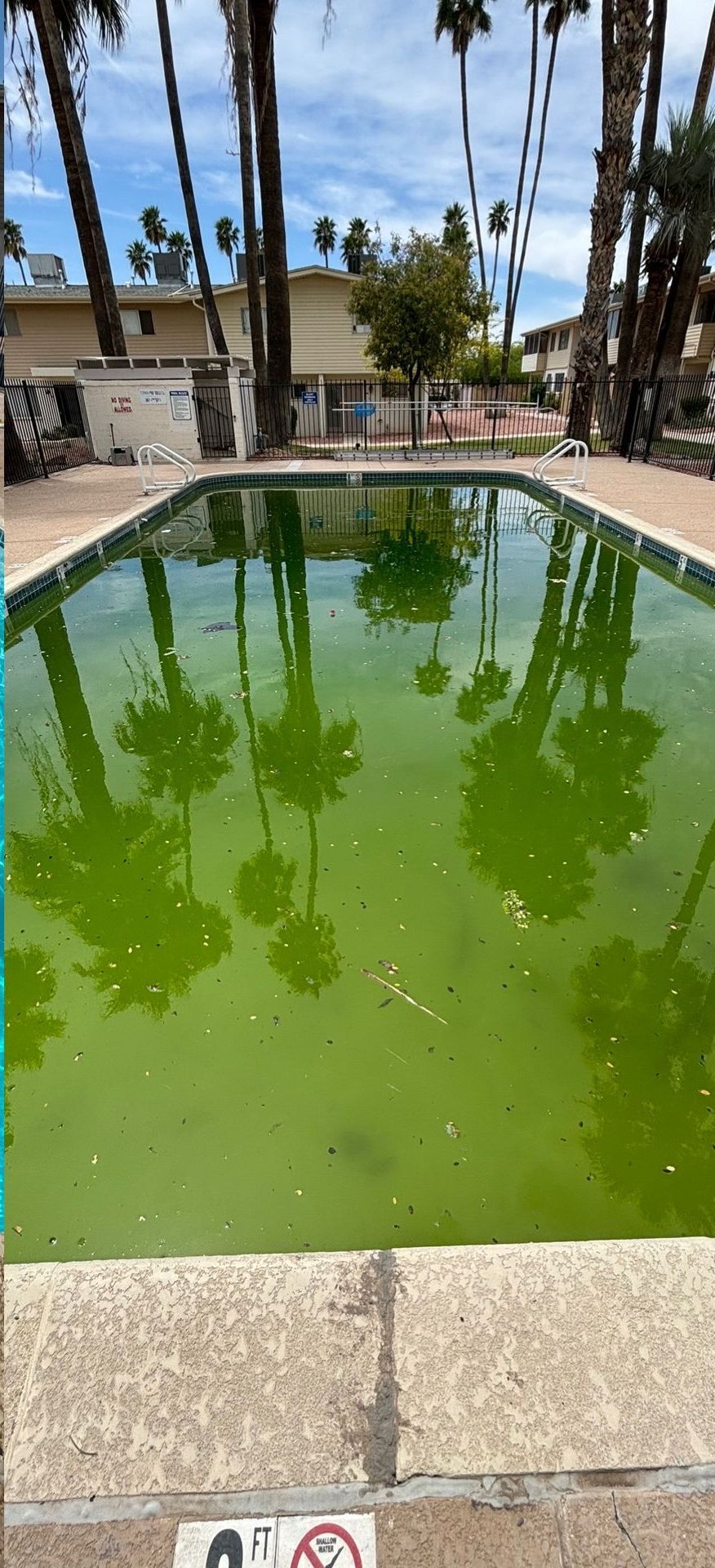 Swimming pool contractor, Pool Painting, Pool Deck Repair, Pool Deck Painting, Pool Tile Repair, Pool Remodeling, Pool Replastering, Pool Repair, Vinyl Pool Lining, Pool Motor Repairs, Pool Heater Replacements, Pool Pump Repair, Commercial Pool Painting, Commercial Pool Deck Repair, Commercial Pool Deck Painting, Commercial Pool Tile Repair, Commercial Pool Remodeling, Commercial Pool Motor Repairs, Commercial Pool Heater Replacements, Commercial Pool Pump Repair, Pool Painting Near Me, Pool Deck Repair Near Me, Pool Deck Painting Near Me, Pool Tile Repair Near Me, Pool Remodeling Near Me, Pool Replastering Near Me, Pool Repair Near Me, Pool Motor Repairs Near Me, Pool Heater Replacements Near Me, Pool Pump Repair Near Me, Pool Water Chemical Balance, Pool coatings/resurfacing, Pool Coating Near Me, Pool Coating Costs, Acid Washing, Deck Repair, Deck Repair Costs, Deck Coating, Deck Coating Near Me, Deck Coating Costs, Pool Grout Repair, Pool Grout Repair Near Me, Pool Grout Repair Costs, Pool Tile Repair Costs, Pool Drain Near Me, Pool Drain, Pool Fill, Plaster repair, Plaster Repair Costs, Pool Heater Servicing, Pool Heater Servicing Near Me, Pool Heater Servicing Cost, Pool Pump Servicing, Pool Pump Servicing Near Me, Pool Pump Servicing Cost, Pool Motor Servicing, Pool Motor Servicing Near Me, Pool Motor Servicing Cost, Pool Plumbing Repairs, Pool Plumbing Repairs Near Me, Pool Plumbing Repair Cost, Pool Filter Repairs, Pool Filter Repairs Near Me, Pool Filter Repairs Cost, Maricopa County AZ, Tempe AZ, South Tempe Tempe AZ, Phoenix AZ, Anthem Phoenix AZ, Deer Valley Phoenix AZ, Ahwatukee Foothills Village Phoenix AZ, Cave Creek AZ, Paradise Valley AZ, Fountain Hills AZ, Scottsdale AZ, South Scottsdale Scottsdale AZ, Mesa AZ, Dobson Ranch Mesa AZ, Chandler AZ, Ocotillo Chandler AZ, Glendale AZ, Arrowhead Ranch Glendale AZ, Peoria AZ, Surprise AZ