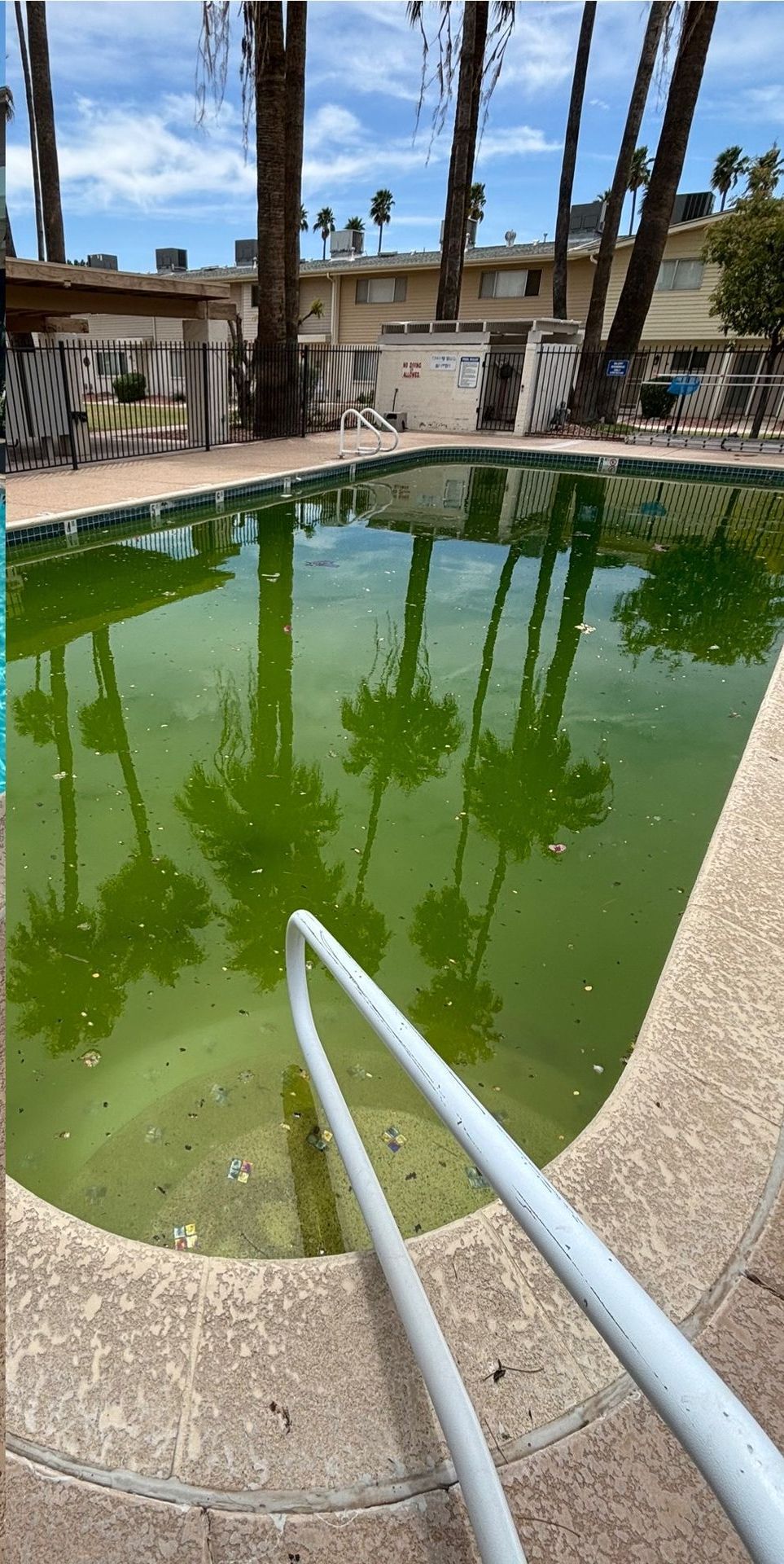 Swimming pool contractor, Pool Painting, Pool Deck Repair, Pool Deck Painting, Pool Tile Repair, Pool Remodeling, Pool Replastering, Pool Repair, Vinyl Pool Lining, Pool Motor Repairs, Pool Heater Replacements, Pool Pump Repair, Commercial Pool Painting, Commercial Pool Deck Repair, Commercial Pool Deck Painting, Commercial Pool Tile Repair, Commercial Pool Remodeling, Commercial Pool Motor Repairs, Commercial Pool Heater Replacements, Commercial Pool Pump Repair, Pool Painting Near Me, Pool Deck Repair Near Me, Pool Deck Painting Near Me, Pool Tile Repair Near Me, Pool Remodeling Near Me, Pool Replastering Near Me, Pool Repair Near Me, Pool Motor Repairs Near Me, Pool Heater Replacements Near Me, Pool Pump Repair Near Me, Pool Water Chemical Balance, Pool coatings/resurfacing, Pool Coating Near Me, Pool Coating Costs, Acid Washing, Deck Repair, Deck Repair Costs, Deck Coating, Deck Coating Near Me, Deck Coating Costs, Pool Grout Repair, Pool Grout Repair Near Me, Pool Grout Repair Costs, Pool Tile Repair Costs, Pool Drain Near Me, Pool Drain, Pool Fill, Plaster repair, Plaster Repair Costs, Pool Heater Servicing, Pool Heater Servicing Near Me, Pool Heater Servicing Cost, Pool Pump Servicing, Pool Pump Servicing Near Me, Pool Pump Servicing Cost, Pool Motor Servicing, Pool Motor Servicing Near Me, Pool Motor Servicing Cost, Pool Plumbing Repairs, Pool Plumbing Repairs Near Me, Pool Plumbing Repair Cost, Pool Filter Repairs, Pool Filter Repairs Near Me, Pool Filter Repairs Cost, Maricopa County AZ, Tempe AZ, South Tempe Tempe AZ, Phoenix AZ, Anthem Phoenix AZ, Deer Valley Phoenix AZ, Ahwatukee Foothills Village Phoenix AZ, Cave Creek AZ, Paradise Valley AZ, Fountain Hills AZ, Scottsdale AZ, South Scottsdale Scottsdale AZ, Mesa AZ, Dobson Ranch Mesa AZ, Chandler AZ, Ocotillo Chandler AZ, Glendale AZ, Arrowhead Ranch Glendale AZ, Peoria AZ, Surprise AZ