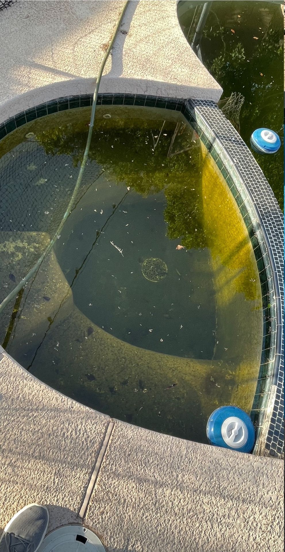 Swimming pool contractor, Pool Painting, Pool Deck Repair, Pool Deck Painting, Pool Tile Repair, Pool Remodeling, Pool Replastering, Pool Repair, Vinyl Pool Lining, Pool Motor Repairs, Pool Heater Replacements, Pool Pump Repair, Commercial Pool Painting, Commercial Pool Deck Repair, Commercial Pool Deck Painting, Commercial Pool Tile Repair, Commercial Pool Remodeling, Commercial Pool Motor Repairs, Commercial Pool Heater Replacements, Commercial Pool Pump Repair, Pool Painting Near Me, Pool Deck Repair Near Me, Pool Deck Painting Near Me, Pool Tile Repair Near Me, Pool Remodeling Near Me, Pool Replastering Near Me, Pool Repair Near Me, Pool Motor Repairs Near Me, Pool Heater Replacements Near Me, Pool Pump Repair Near Me, Pool Water Chemical Balance, Pool coatings/resurfacing, Pool Coating Near Me, Pool Coating Costs, Acid Washing, Deck Repair, Deck Repair Costs, Deck Coating, Deck Coating Near Me, Deck Coating Costs, Pool Grout Repair, Pool Grout Repair Near Me, Pool Grout Repair Costs, Pool Tile Repair Costs, Pool Drain Near Me, Pool Drain, Pool Fill, Plaster repair, Plaster Repair Costs, Pool Heater Servicing, Pool Heater Servicing Near Me, Pool Heater Servicing Cost, Pool Pump Servicing, Pool Pump Servicing Near Me, Pool Pump Servicing Cost, Pool Motor Servicing, Pool Motor Servicing Near Me, Pool Motor Servicing Cost, Pool Plumbing Repairs, Pool Plumbing Repairs Near Me, Pool Plumbing Repair Cost, Pool Filter Repairs, Pool Filter Repairs Near Me, Pool Filter Repairs Cost, Maricopa County AZ, Tempe AZ, South Tempe Tempe AZ, Phoenix AZ, Anthem Phoenix AZ, Deer Valley Phoenix AZ, Ahwatukee Foothills Village Phoenix AZ, Cave Creek AZ, Paradise Valley AZ, Fountain Hills AZ, Scottsdale AZ, South Scottsdale Scottsdale AZ, Mesa AZ, Dobson Ranch Mesa AZ, Chandler AZ, Ocotillo Chandler AZ, Glendale AZ, Arrowhead Ranch Glendale AZ, Peoria AZ, Surprise AZ