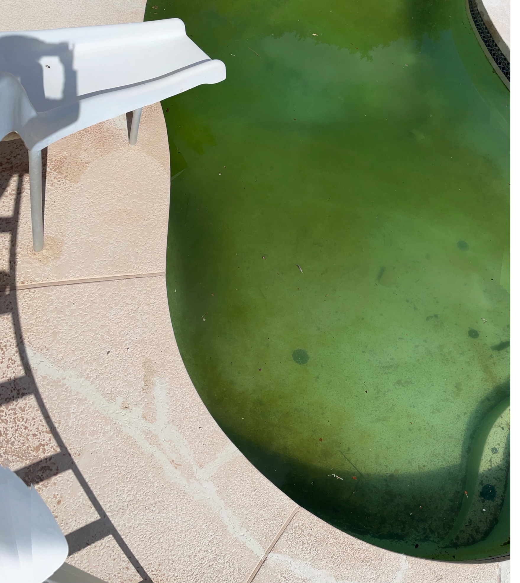 Swimming pool contractor, Pool Painting, Pool Deck Repair, Pool Deck Painting, Pool Tile Repair, Pool Remodeling, Pool Replastering, Pool Repair, Vinyl Pool Lining, Pool Motor Repairs, Pool Heater Replacements, Pool Pump Repair, Commercial Pool Painting, Commercial Pool Deck Repair, Commercial Pool Deck Painting, Commercial Pool Tile Repair, Commercial Pool Remodeling, Commercial Pool Motor Repairs, Commercial Pool Heater Replacements, Commercial Pool Pump Repair, Pool Painting Near Me, Pool Deck Repair Near Me, Pool Deck Painting Near Me, Pool Tile Repair Near Me, Pool Remodeling Near Me, Pool Replastering Near Me, Pool Repair Near Me, Pool Motor Repairs Near Me, Pool Heater Replacements Near Me, Pool Pump Repair Near Me, Pool Water Chemical Balance, Pool coatings/resurfacing, Pool Coating Near Me, Pool Coating Costs, Acid Washing, Deck Repair, Deck Repair Costs, Deck Coating, Deck Coating Near Me, Deck Coating Costs, Pool Grout Repair, Pool Grout Repair Near Me, Pool Grout Repair Costs, Pool Tile Repair Costs, Pool Drain Near Me, Pool Drain, Pool Fill, Plaster repair, Plaster Repair Costs, Pool Heater Servicing, Pool Heater Servicing Near Me, Pool Heater Servicing Cost, Pool Pump Servicing, Pool Pump Servicing Near Me, Pool Pump Servicing Cost, Pool Motor Servicing, Pool Motor Servicing Near Me, Pool Motor Servicing Cost, Pool Plumbing Repairs, Pool Plumbing Repairs Near Me, Pool Plumbing Repair Cost, Pool Filter Repairs, Pool Filter Repairs Near Me, Pool Filter Repairs Cost, Maricopa County AZ, Tempe AZ, South Tempe Tempe AZ, Phoenix AZ, Anthem Phoenix AZ, Deer Valley Phoenix AZ, Ahwatukee Foothills Village Phoenix AZ, Cave Creek AZ, Paradise Valley AZ, Fountain Hills AZ, Scottsdale AZ, South Scottsdale Scottsdale AZ, Mesa AZ, Dobson Ranch Mesa AZ, Chandler AZ, Ocotillo Chandler AZ, Glendale AZ, Arrowhead Ranch Glendale AZ, Peoria AZ, Surprise AZ