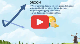 Infographic animatievideo voorbeeld