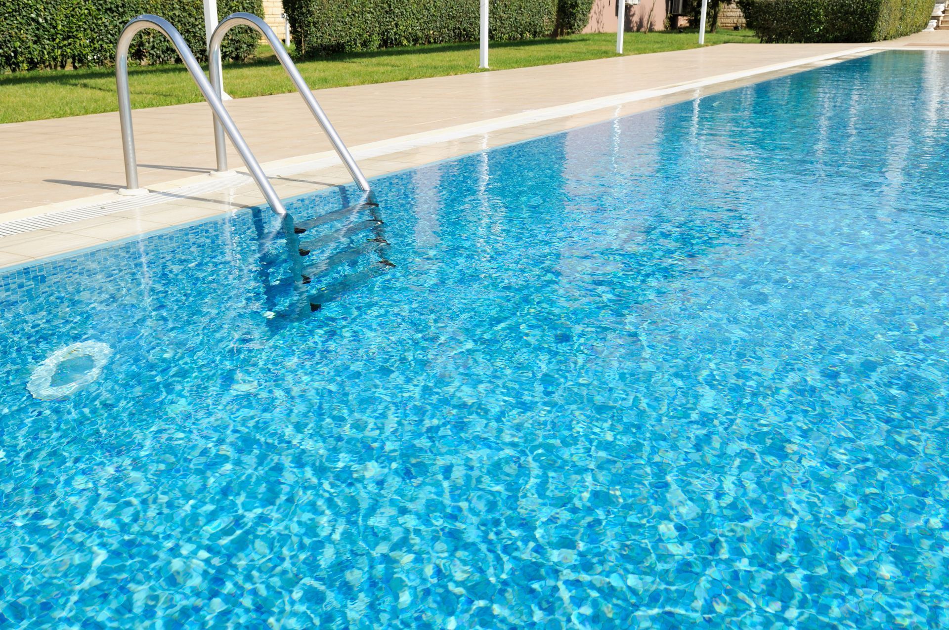 Swimming pool with blue water, metal ladder, and a concrete edge; greenery in the background.