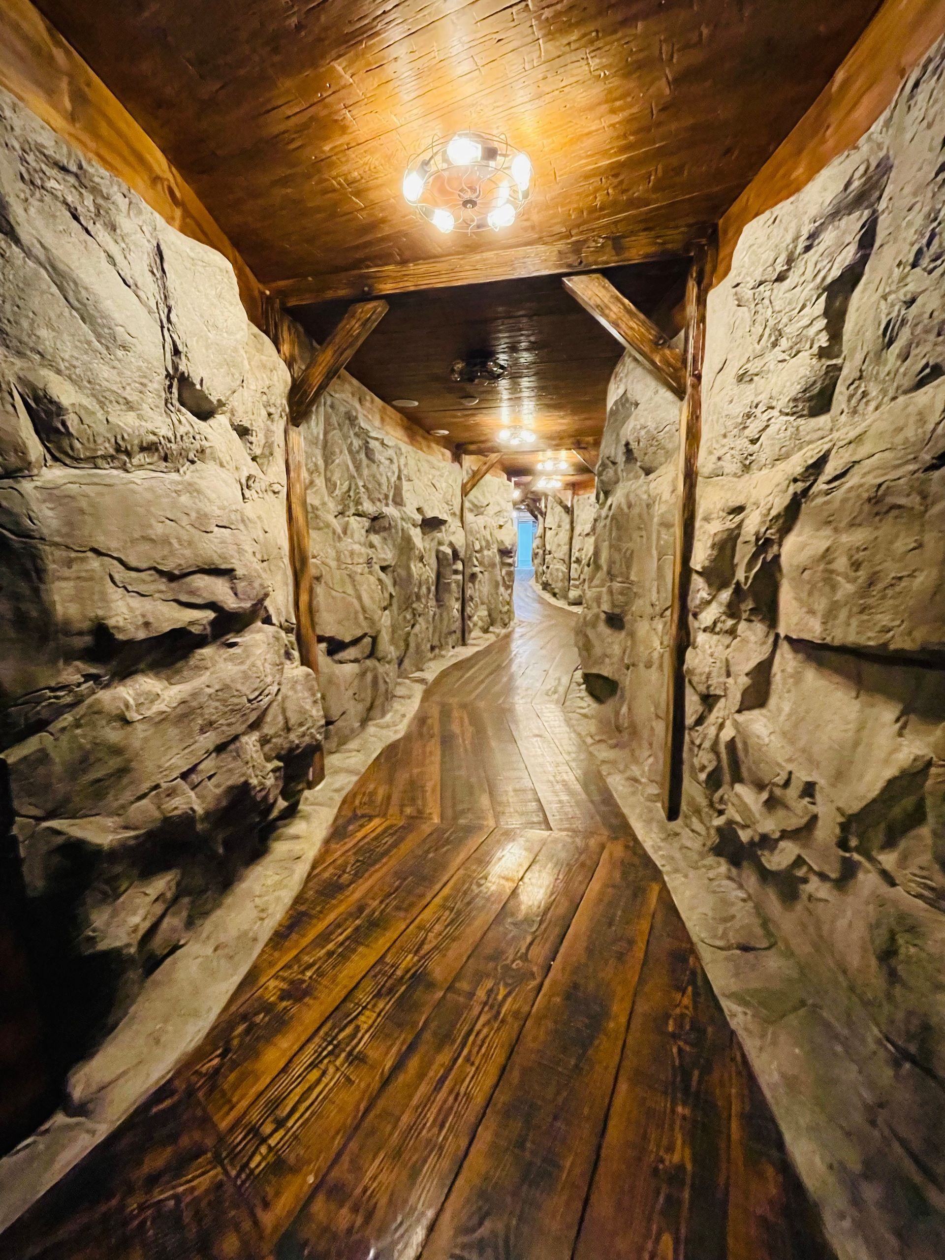 Narrow, rustic hallway with wood floor, stone walls, and overhead lighting.