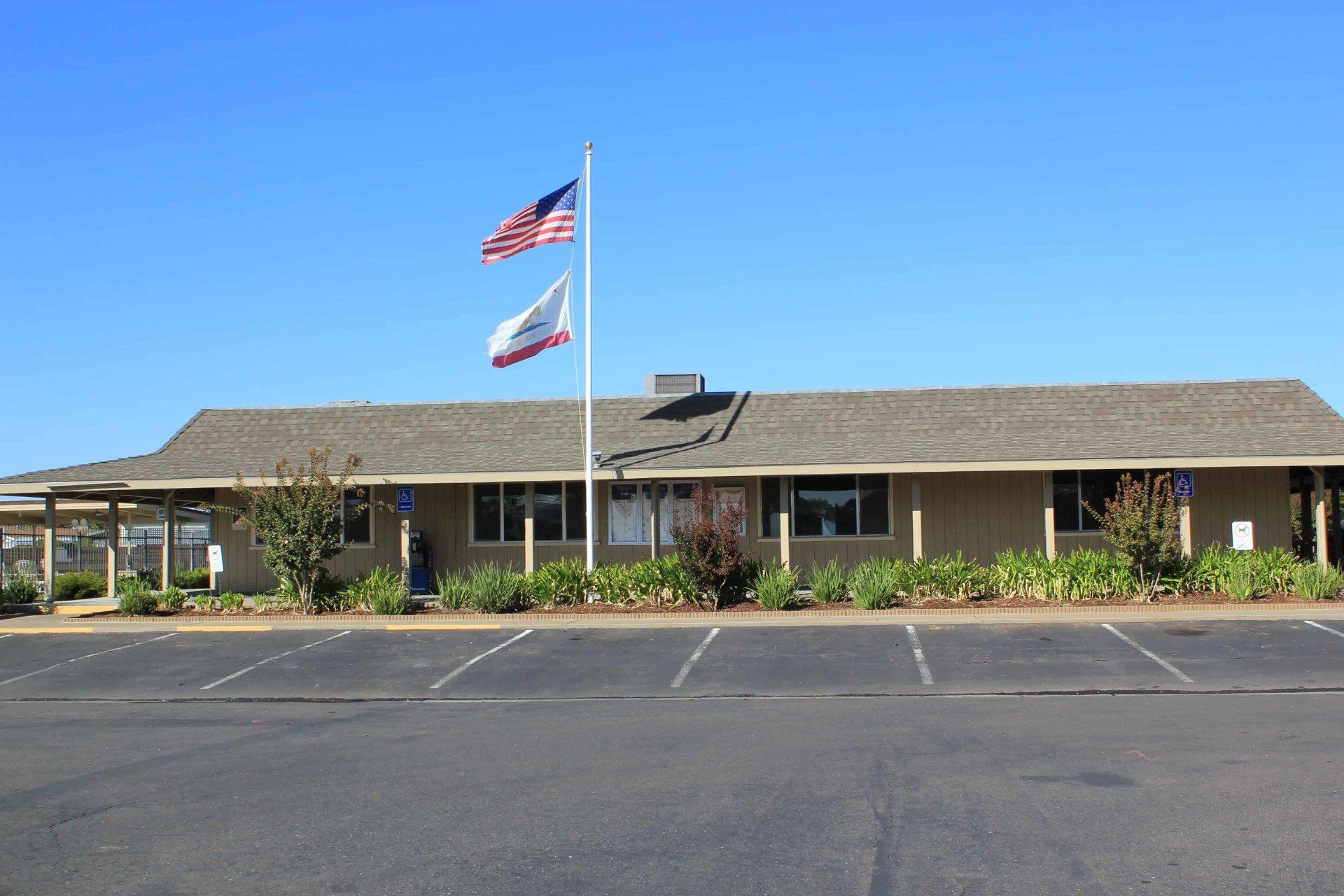 Olympia Commons exterior mobile homes
