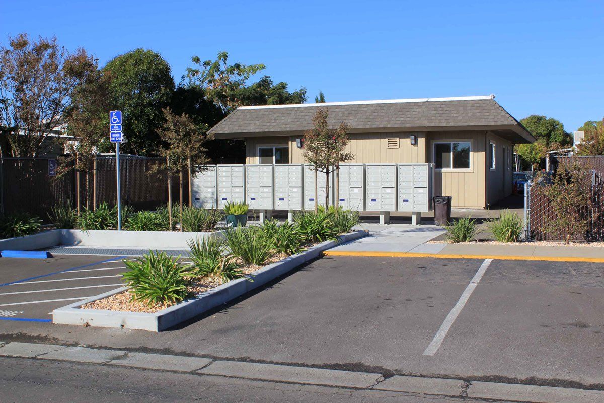 Olympia Commons exterior mobile homes