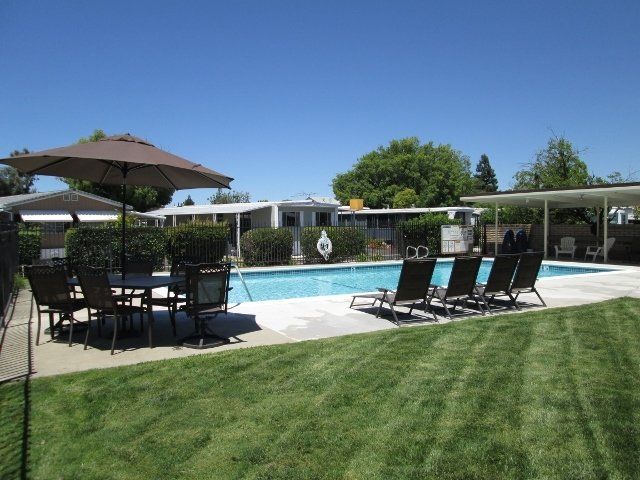 pool with lounge chairs