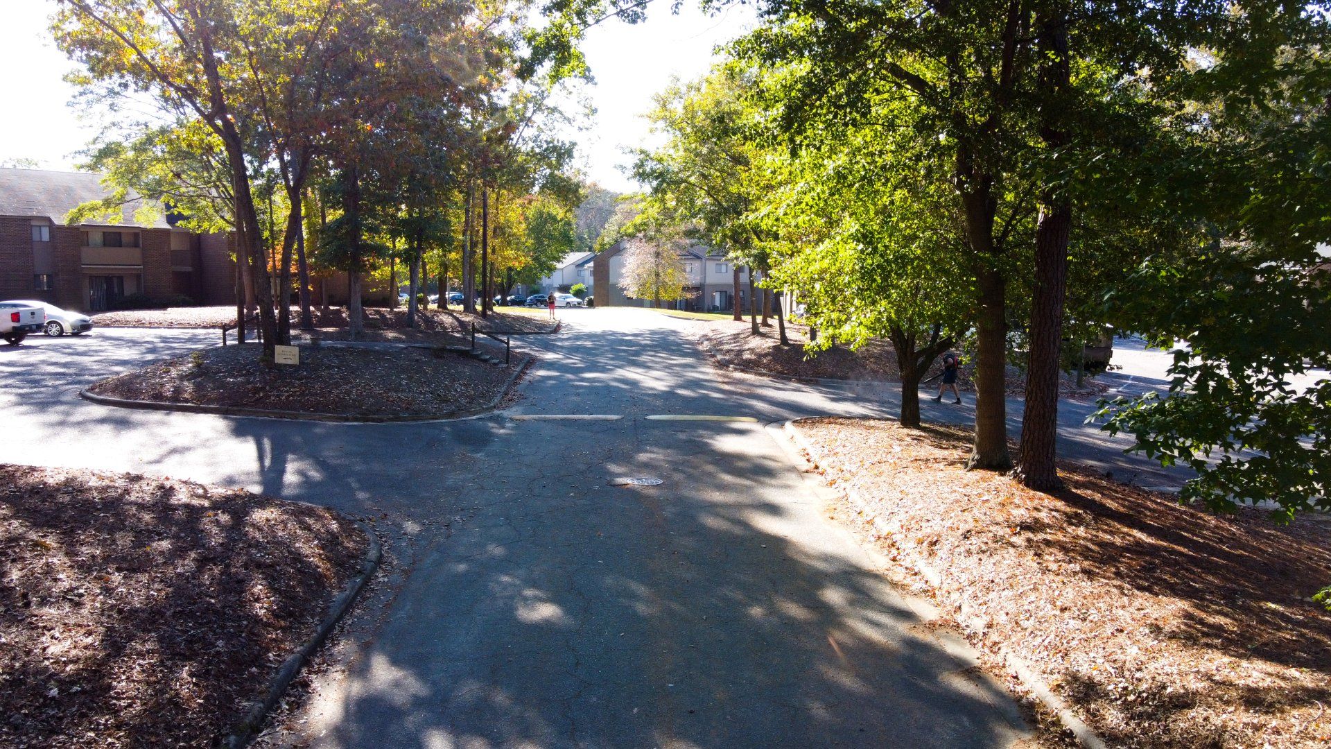 Treelined driveway