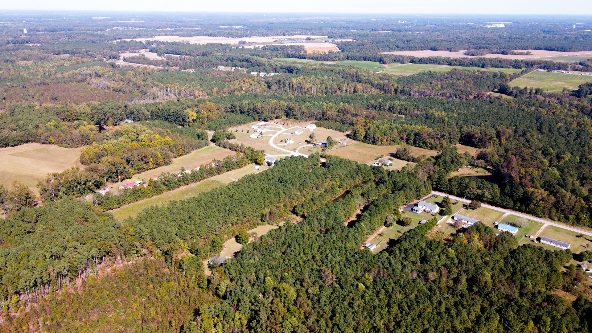 Aerial view of trees and houses