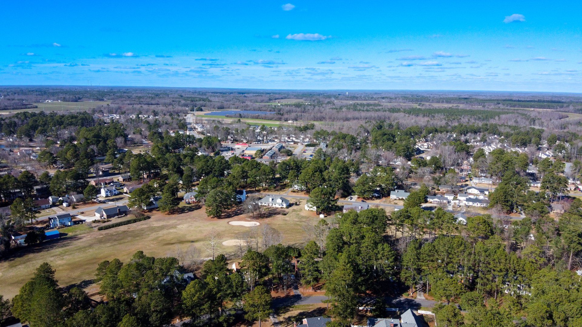 Aerial view of trees and houses