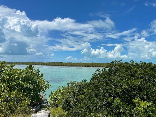 A view of a body of water surrounded by trees on a sunny day.