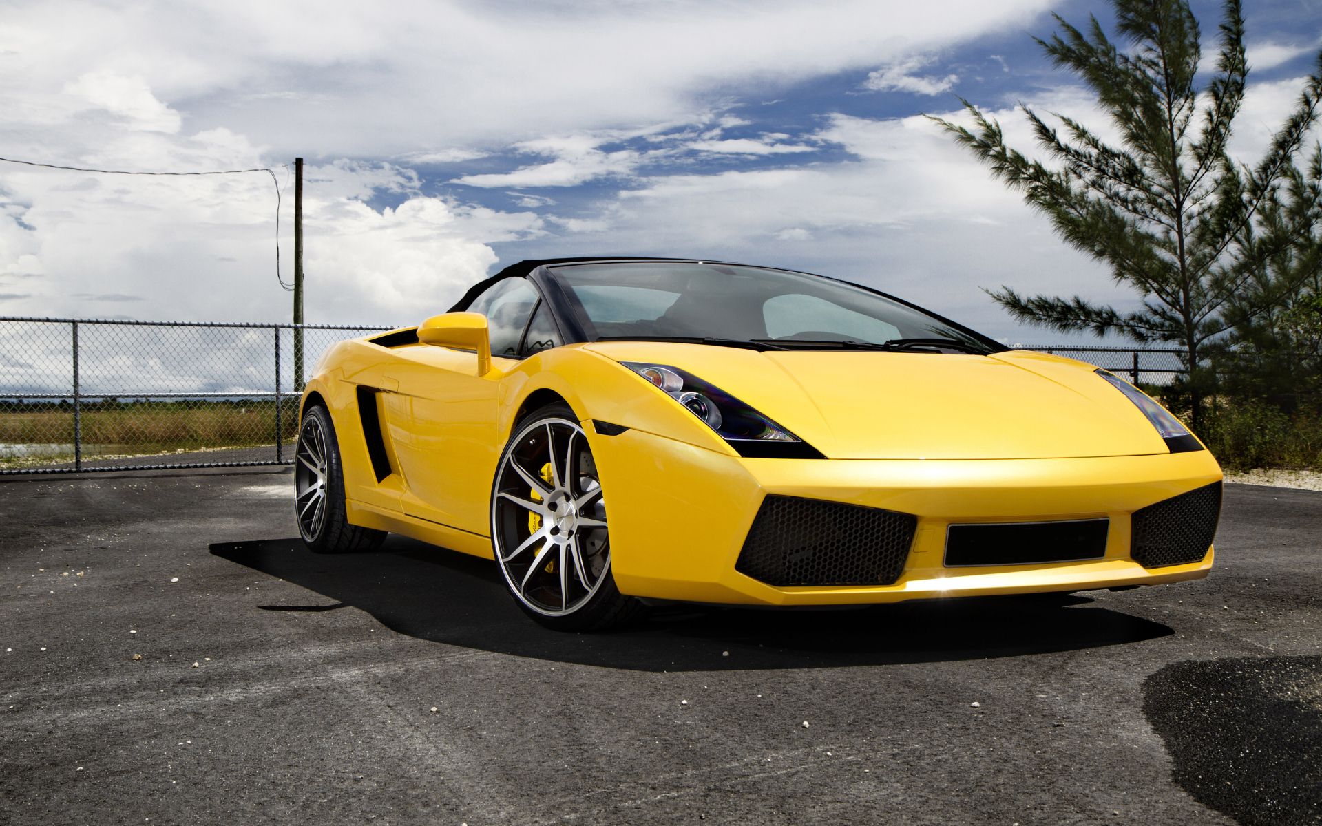 Lamborghini Auto Repair - Hermitage & Cookeville, TN | Total Automotive