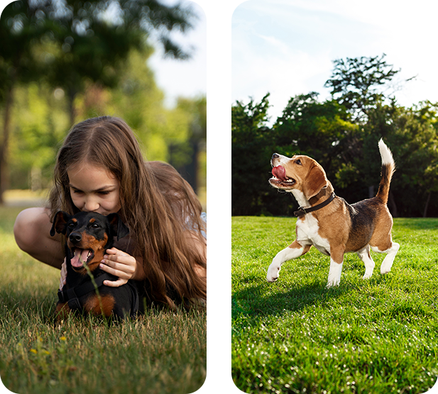 A girl is holding a puppy and a dog is running in the grass.