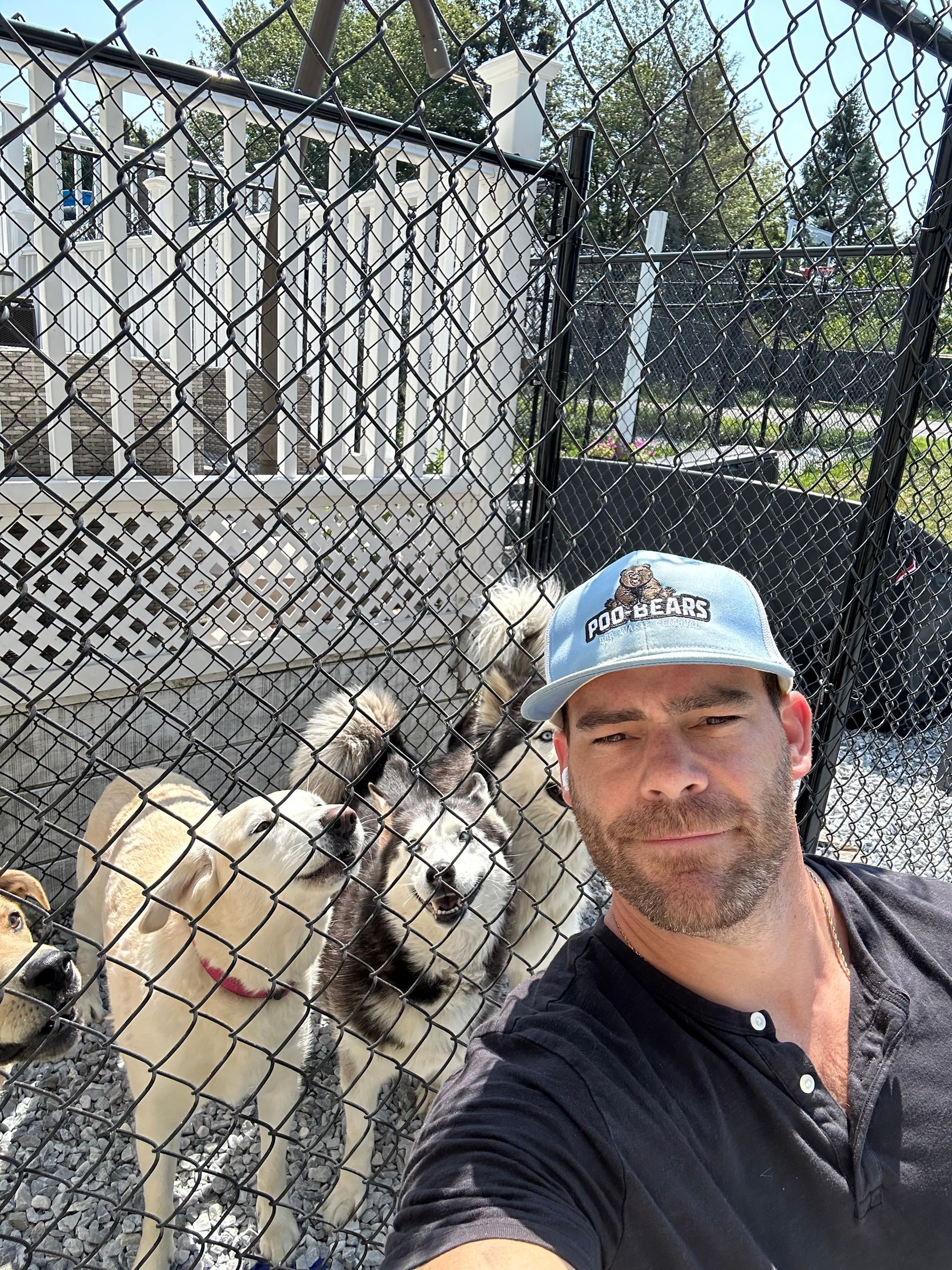A dog and a cat are sitting next to each other on a white background.