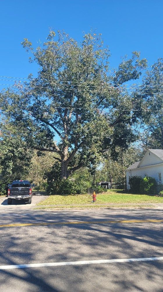 A truck is parked on the side of the road next to a tree.