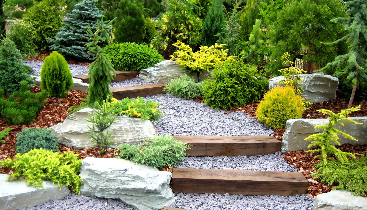 A garden filled with lots of plants and rocks.