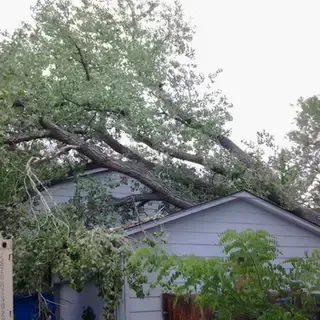 A tree fallen on a gray house, branches scattered. Green leaves against a cloudy sky.