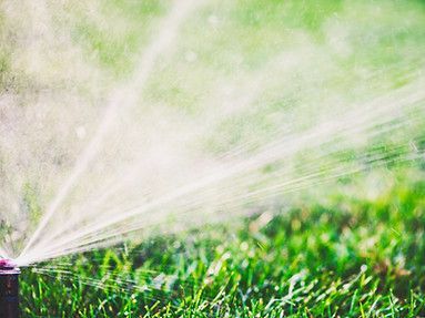 Sprinkler spraying water over green grass, watering a lawn.
