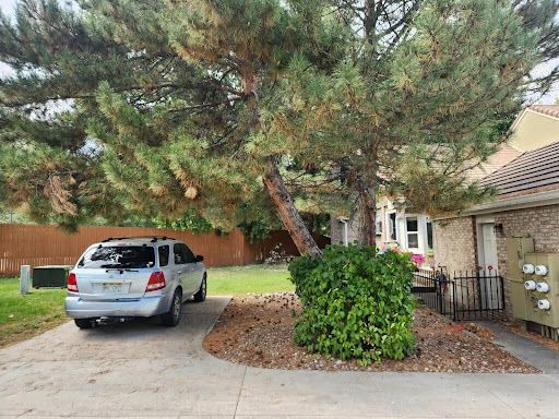 Silver SUV parked on a driveway under a large evergreen tree in front of a house.