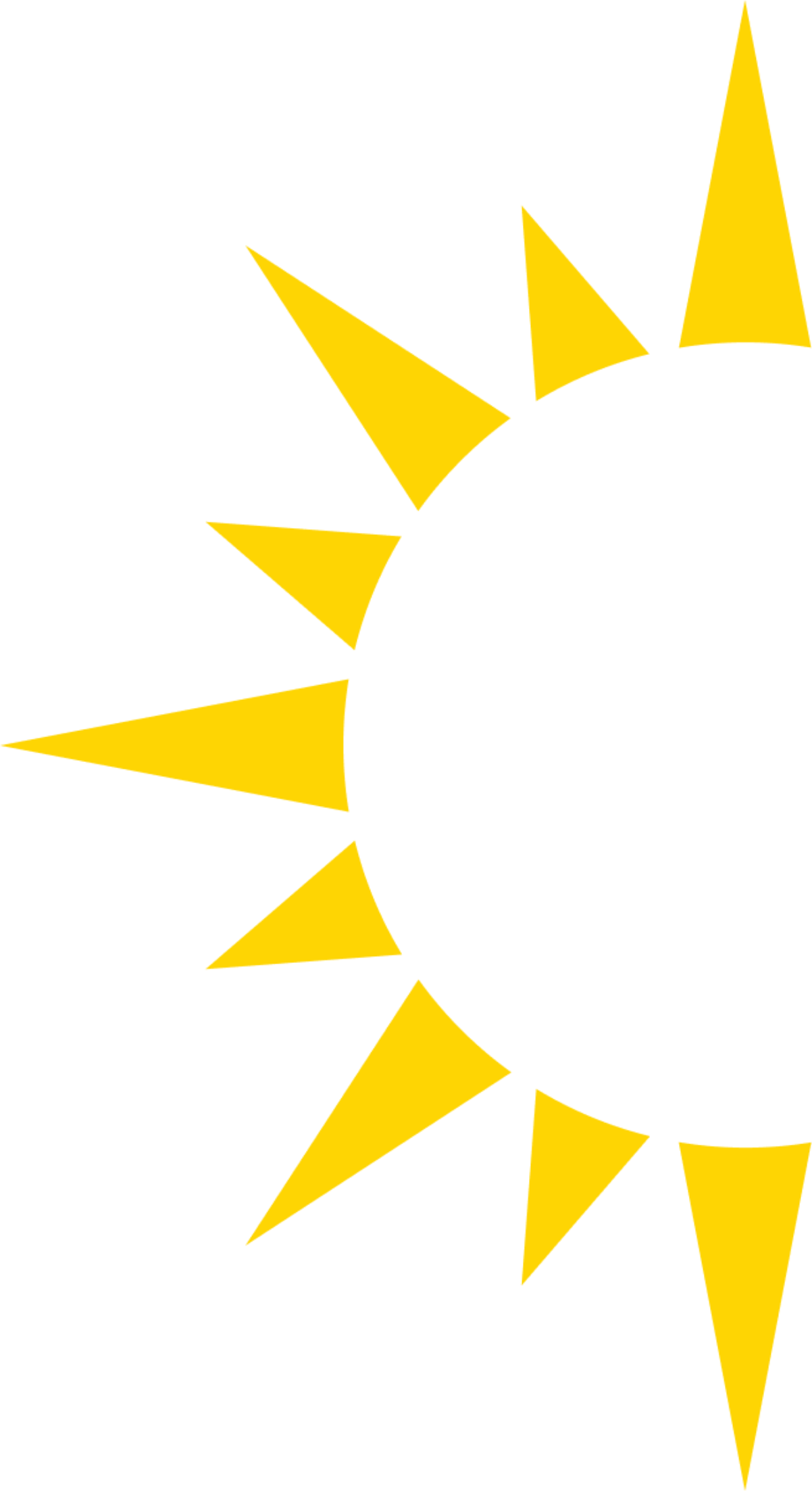 Watercolor illustration of green parsley sprig.