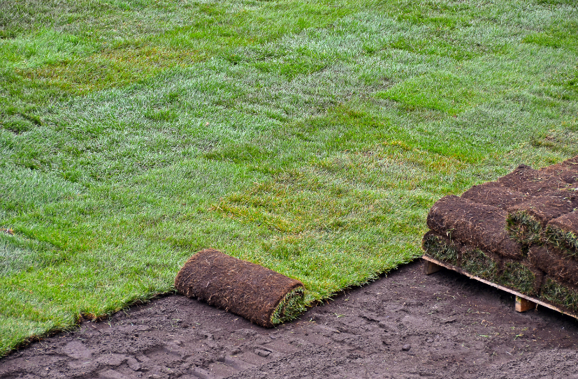 A roll of turf is sitting on top of a lush green lawn.