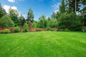 Large Backyard Lawn – Archdale, NC – Queen’s Septic Tank Service