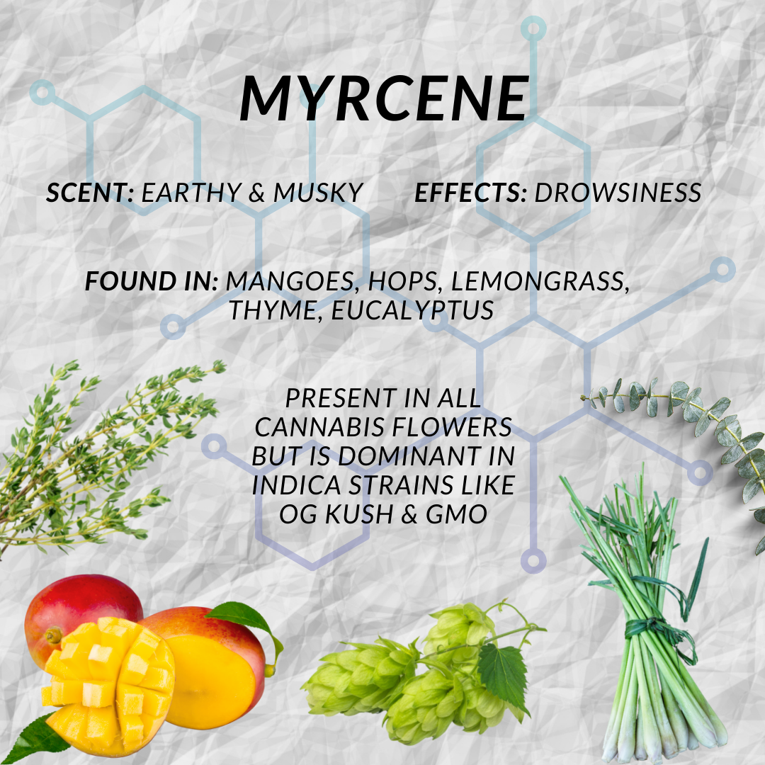 Myrcene Profile