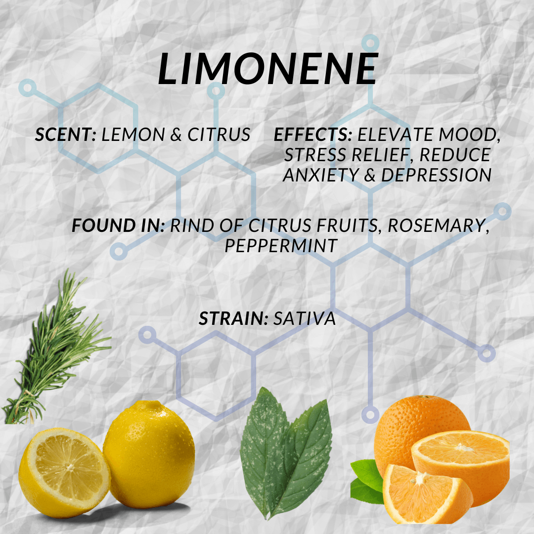 Limonene Terpene