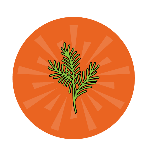 Icon of dill plant