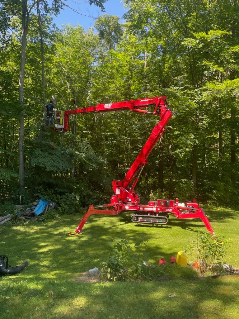 Worker Removing Tree — Pittsfield, MA — Northern Oak Tree & Home Services