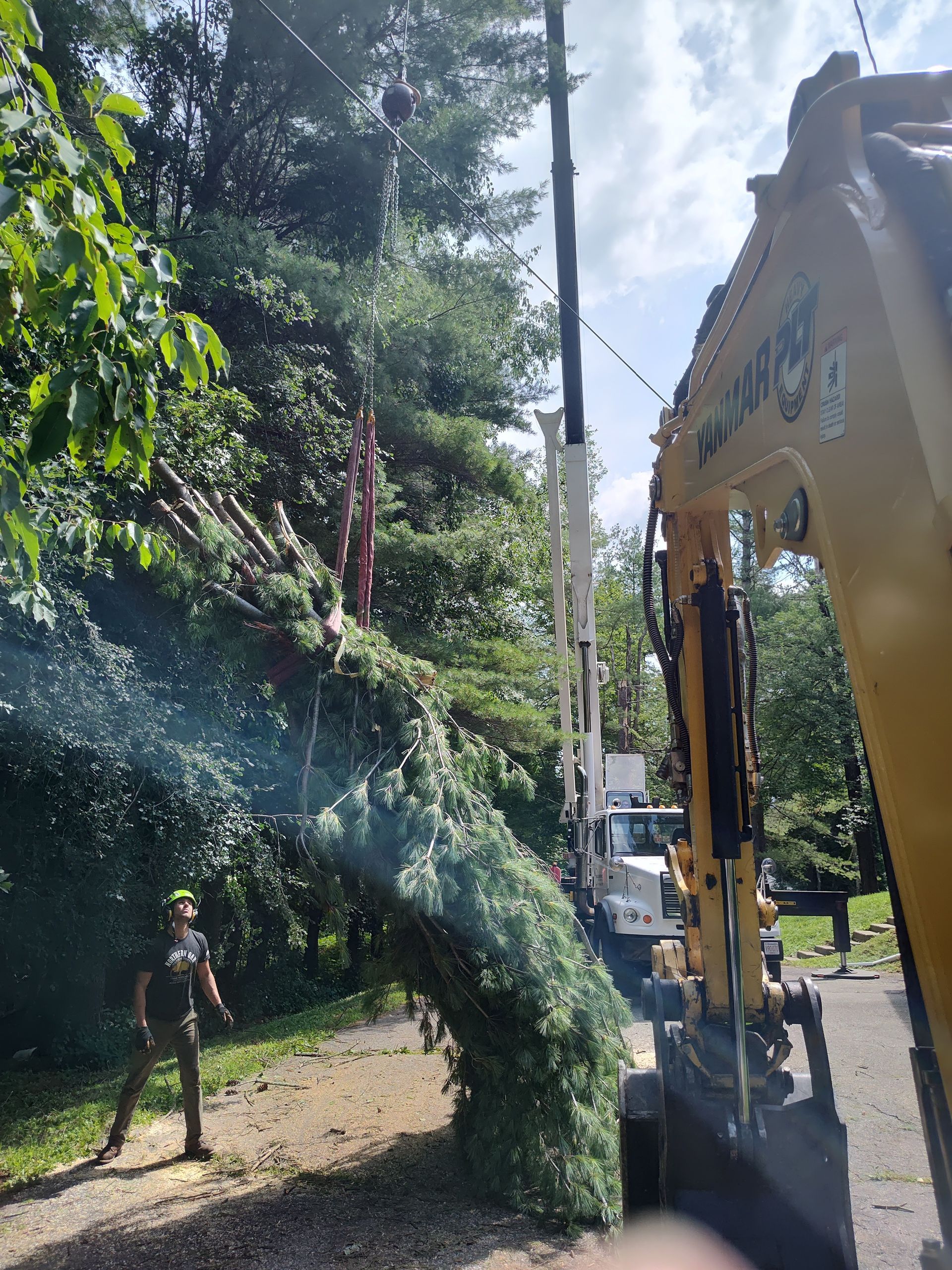 Man Near Crane — Pittsfield, MA — Northern Oak Tree & Home Services