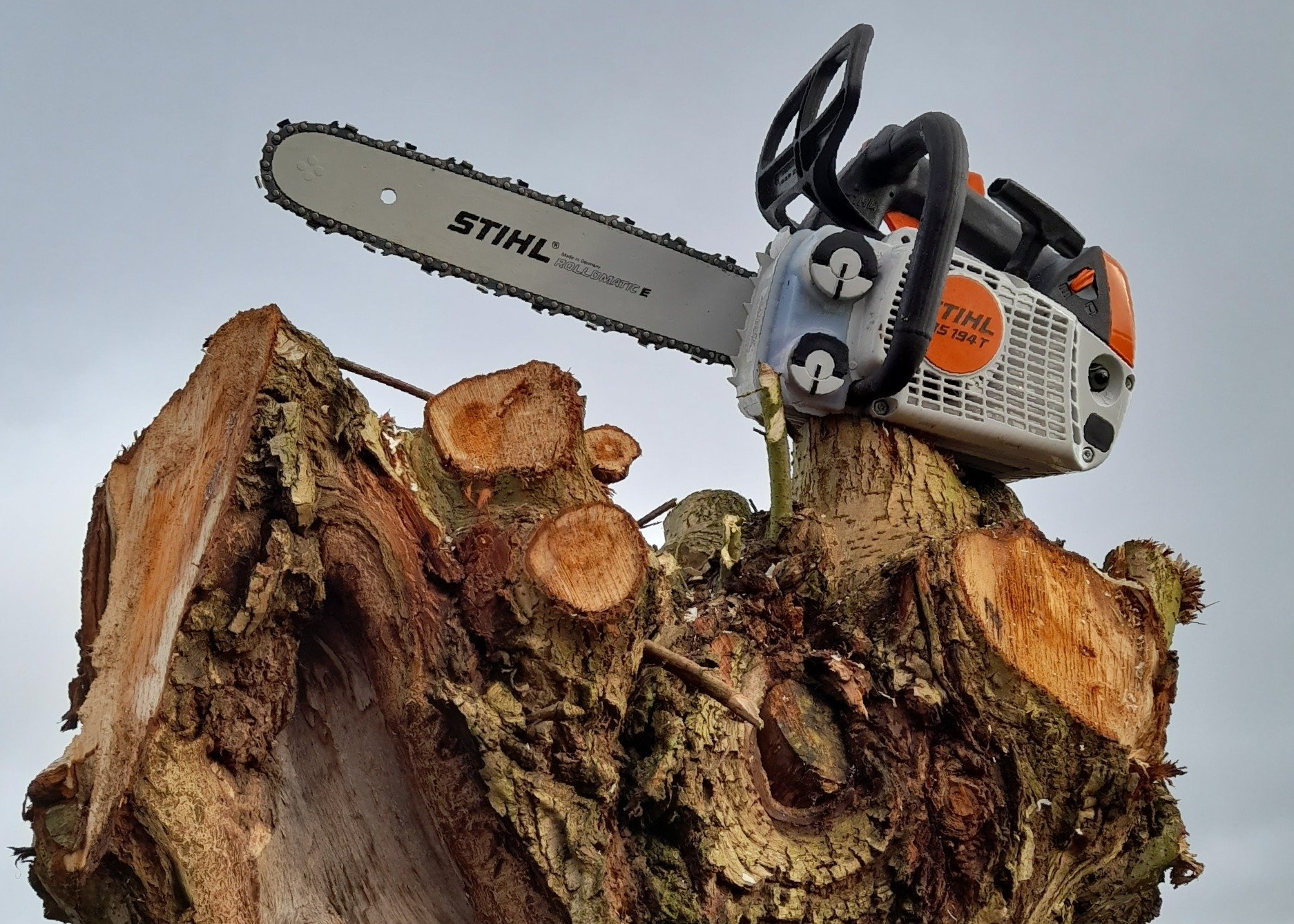 Een Stihl kettingzaag ligt bovenop een boomstronk.