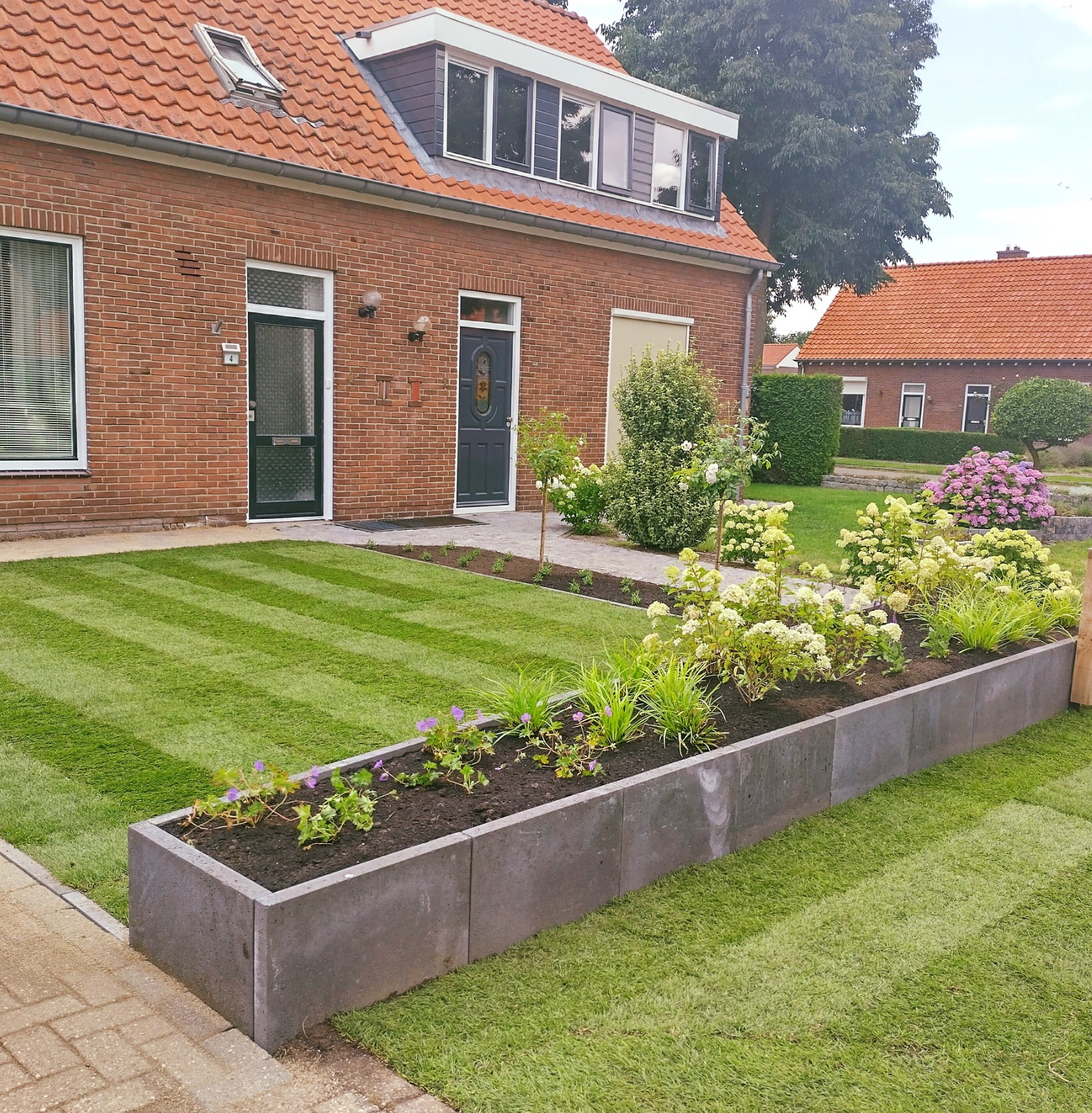 Voortuin met gazon en verhoogde border aan de straatzijde en nieuw looppad naar de voordeur.