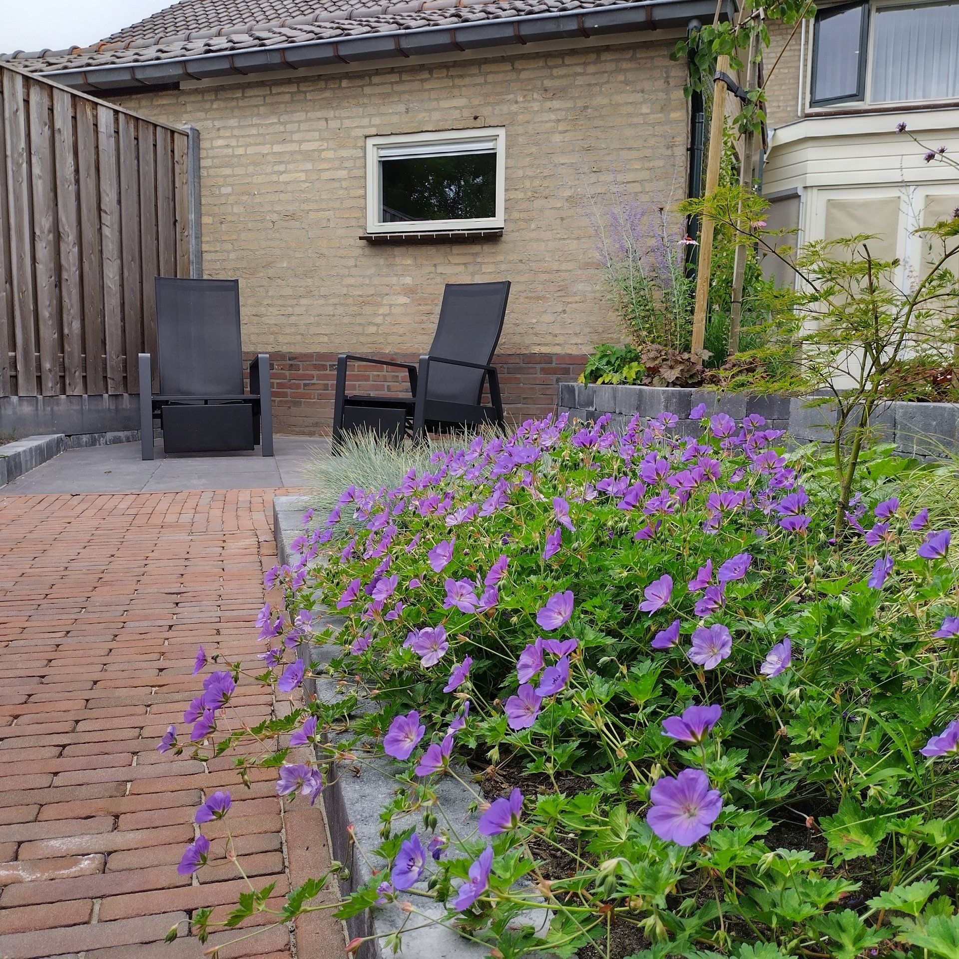 Een tuin met paarse bloemen en stoelen voor een huis