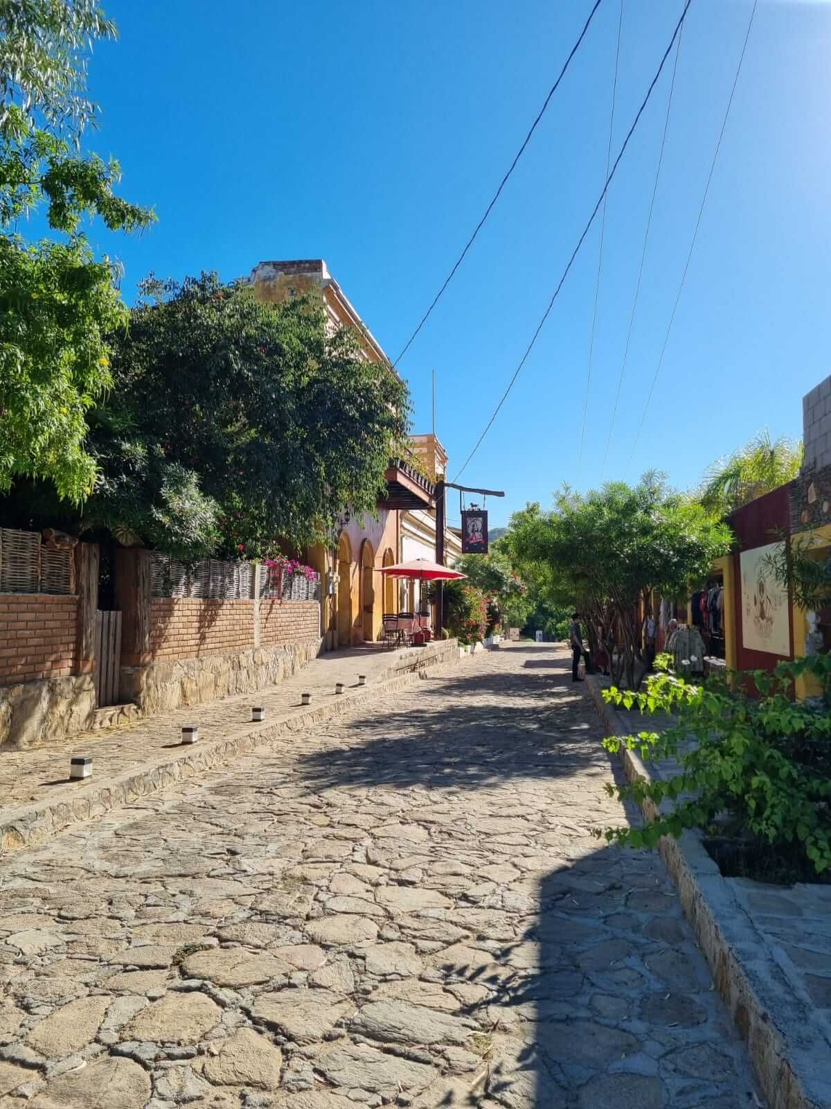 Una calle adoquinada bordeada de árboles y edificios en un día soleado.
