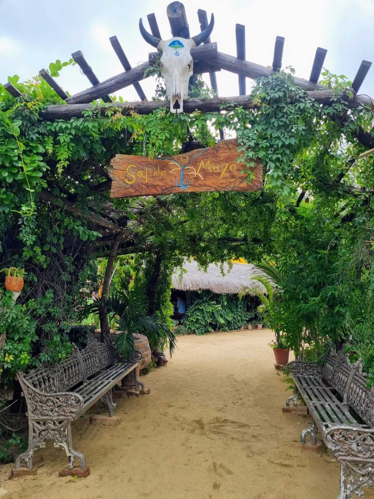 Un arco de madera con una calavera de vaca encima.