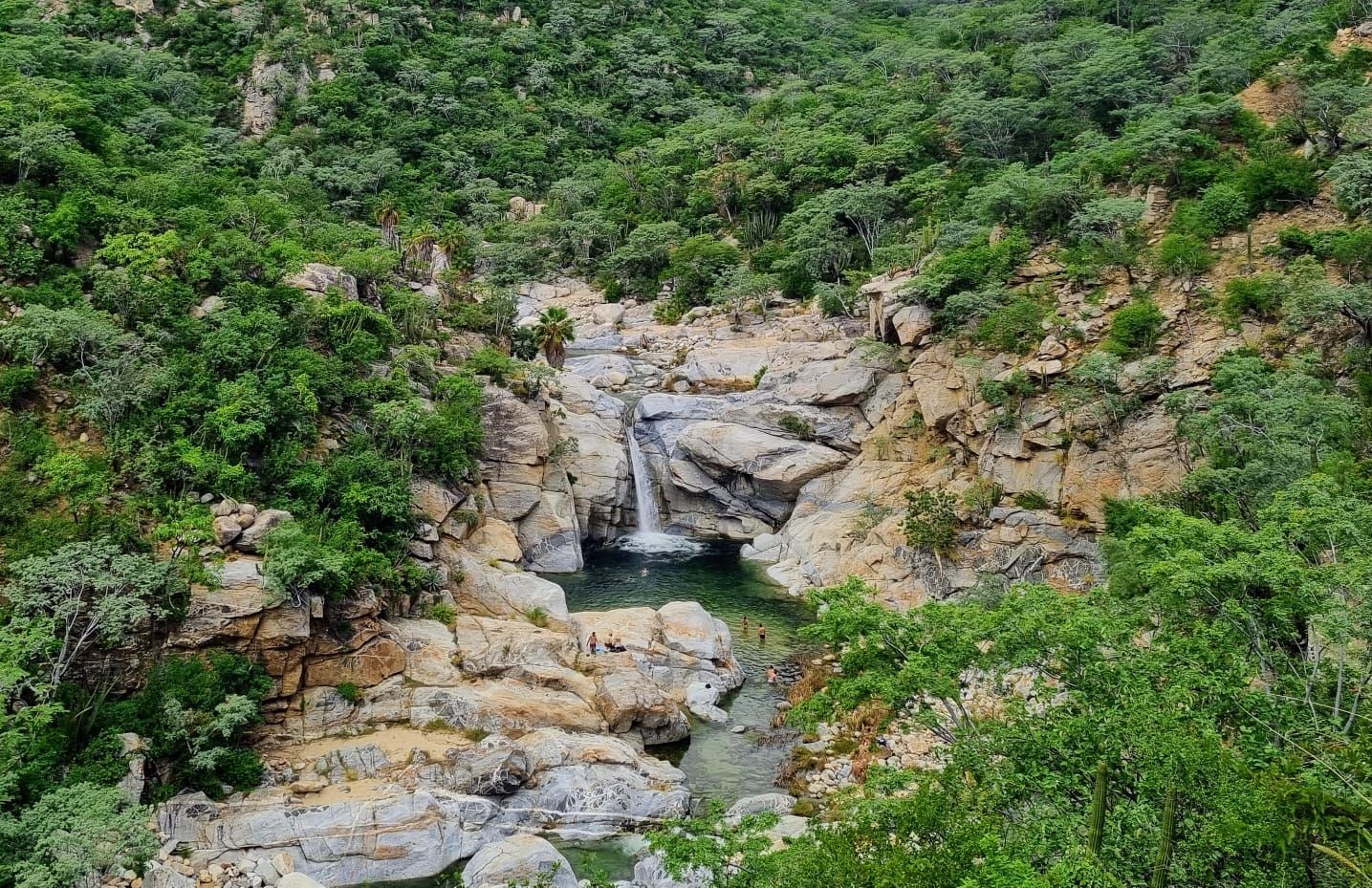 Uma cachoeira é cercada por árvores e pedras no meio de uma floresta.