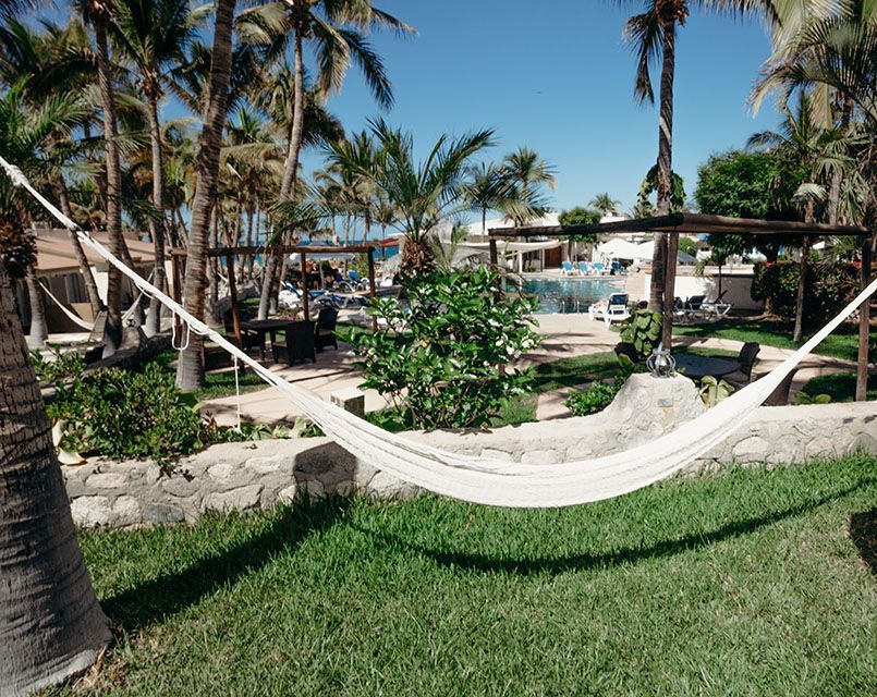 Uma rede está no meio de um campo verdejante cercado por palmeiras.