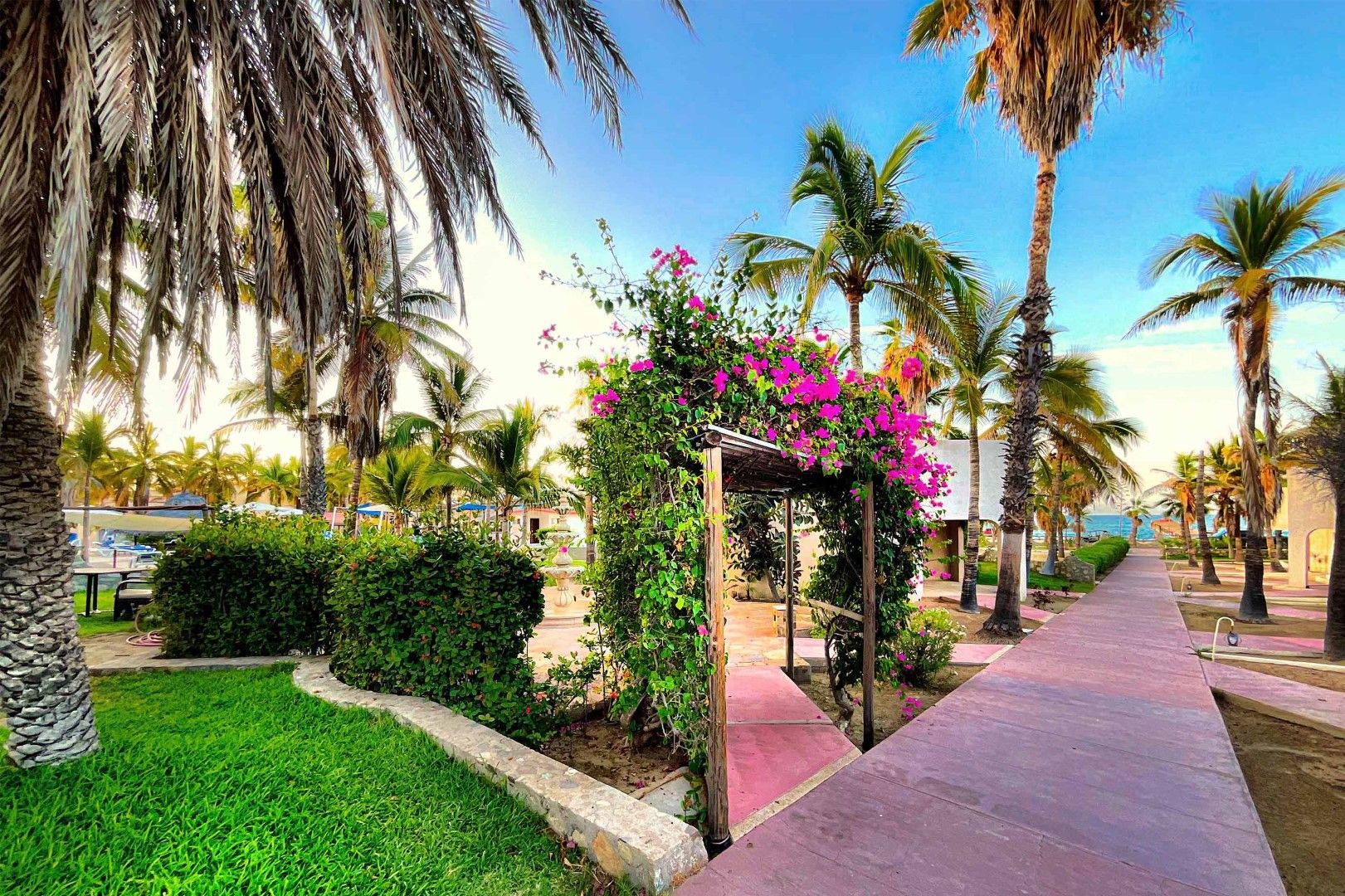 Uma passarela cercada por palmeiras e flores em um parque