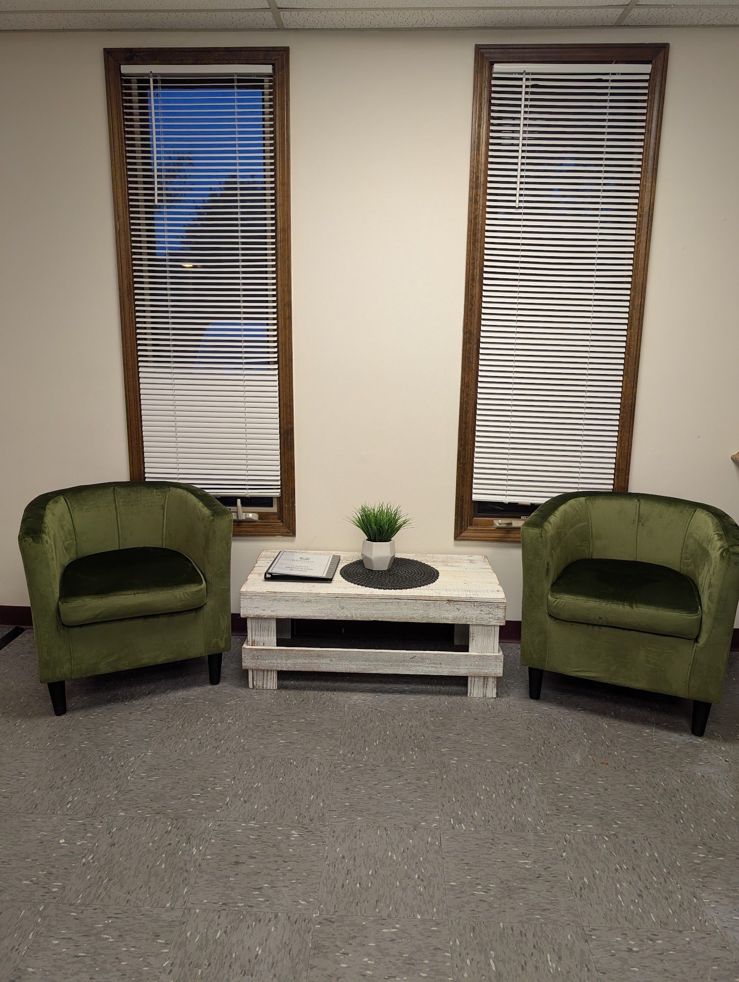 Two olive green velvet armchairs face each other on either side of a white distressed wooden coffee table with a plant.