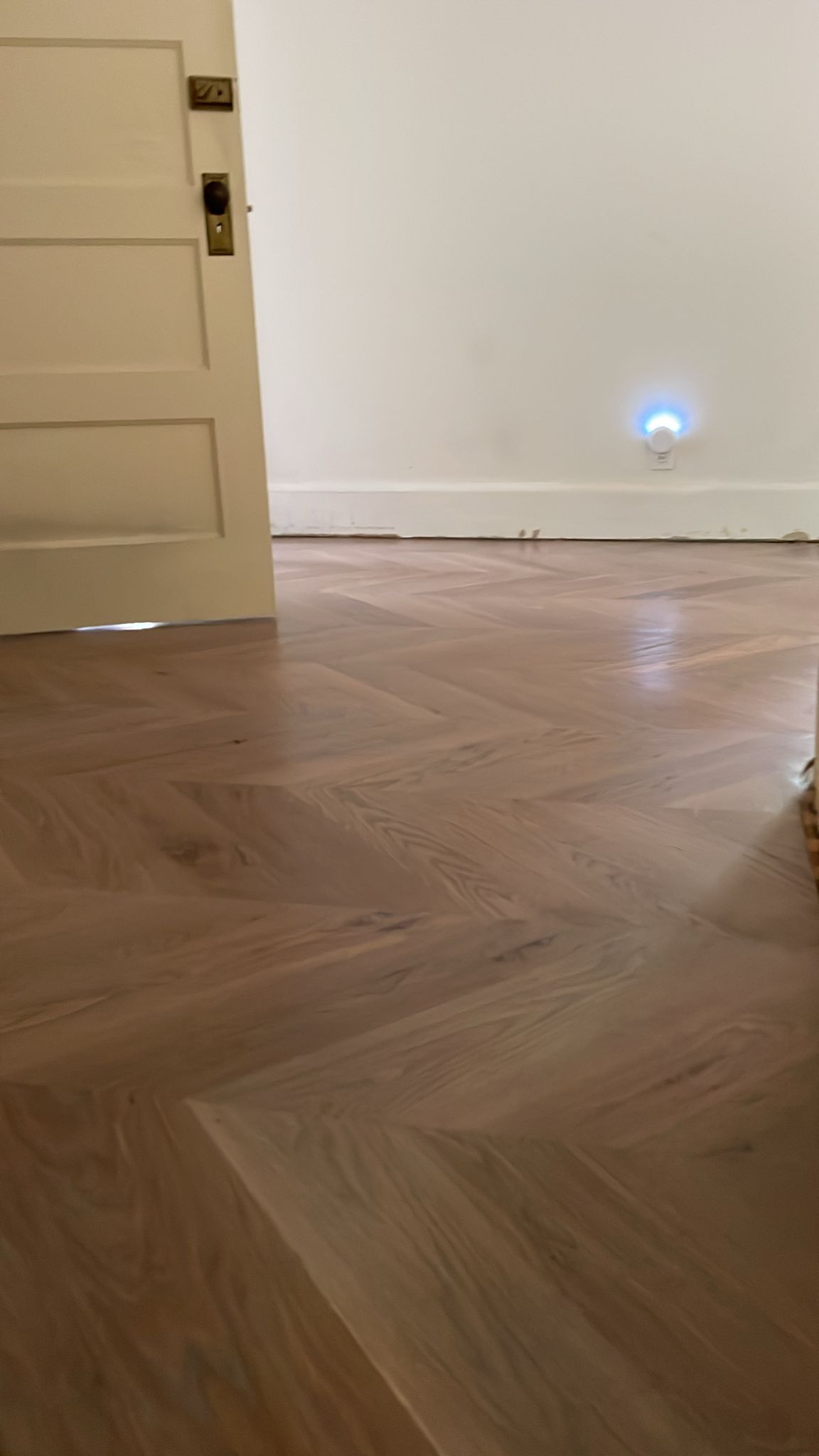 A cat is walking on a wooden floor next to a door.