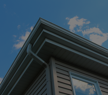 mold restoration