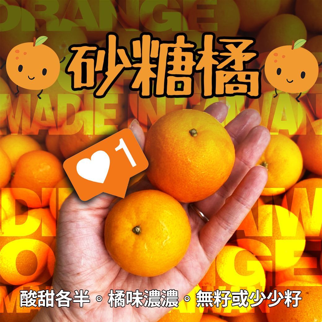 的副本 【全台免運】買1送1限時下殺秘魯原封箱麝香葡萄